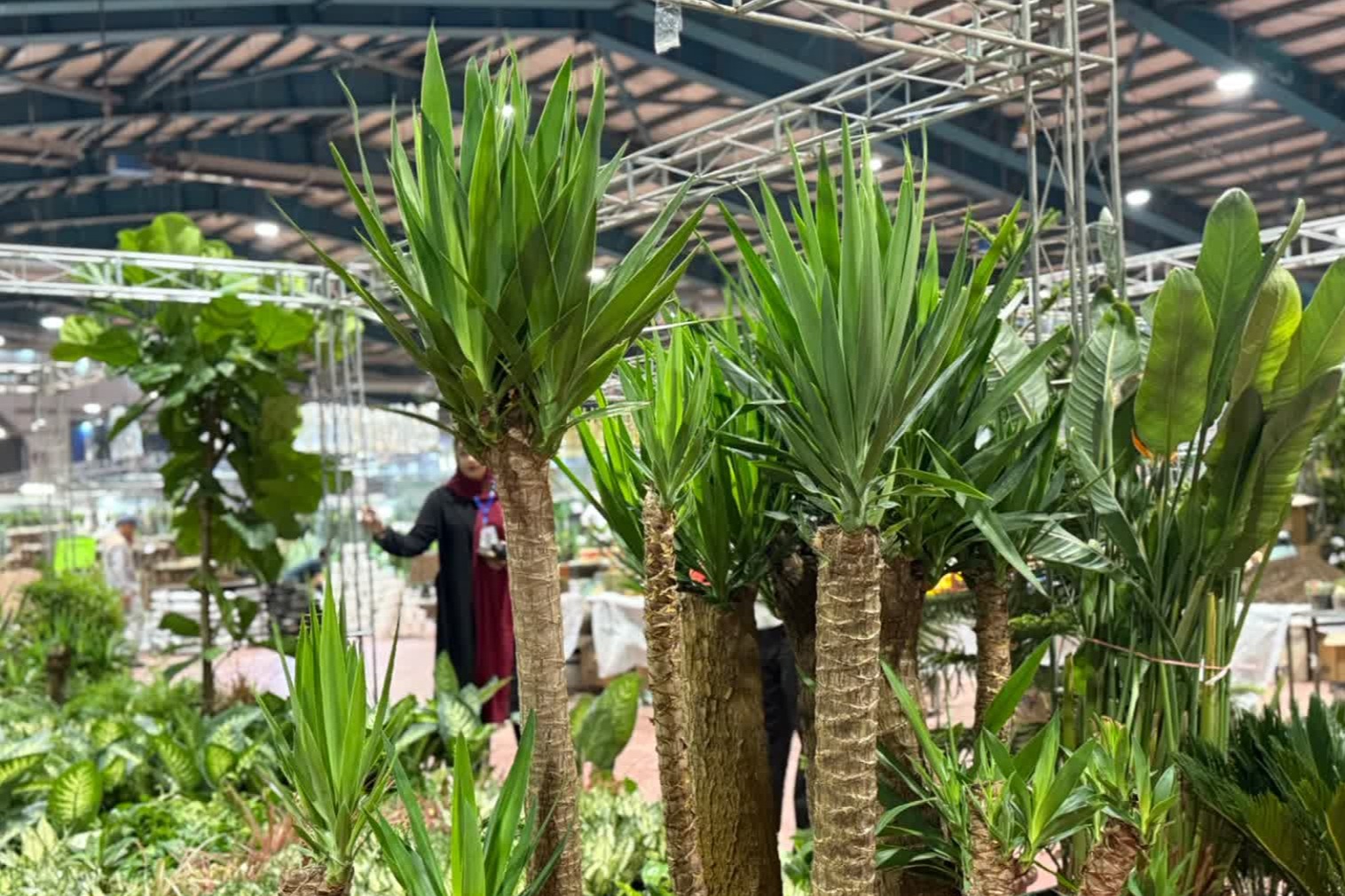 Reels Flower & Plant Exhibition 2026